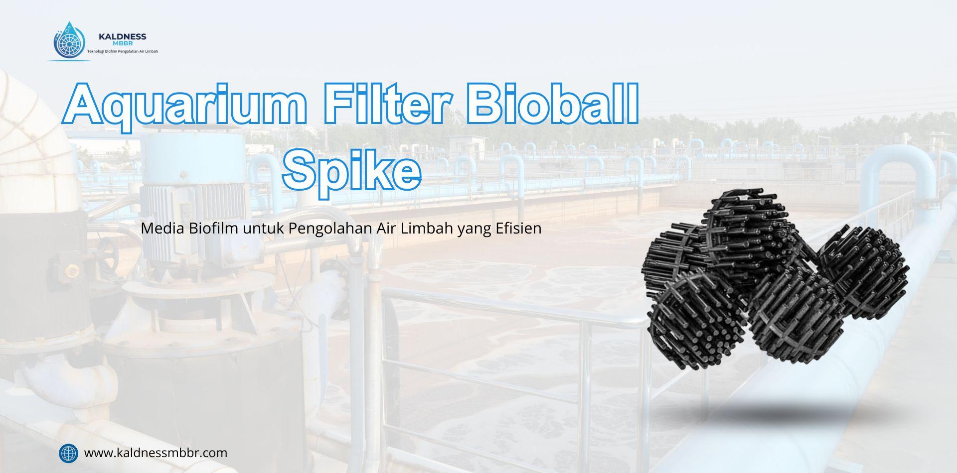 Media Bioball